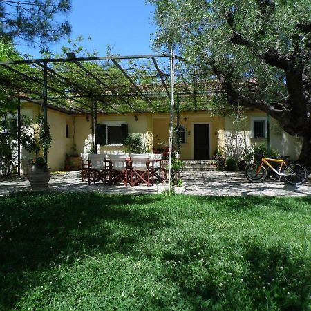 Theni Olive Grove Villa Kato Yerakarion Esterno foto