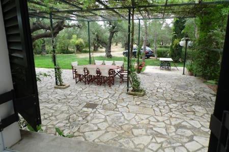 Theni Olive Grove Villa Kato Yerakarion Esterno foto