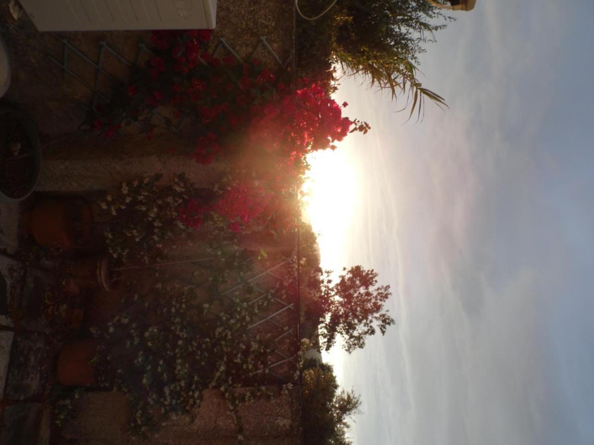 Theni Olive Grove Villa Kato Yerakarion Esterno foto