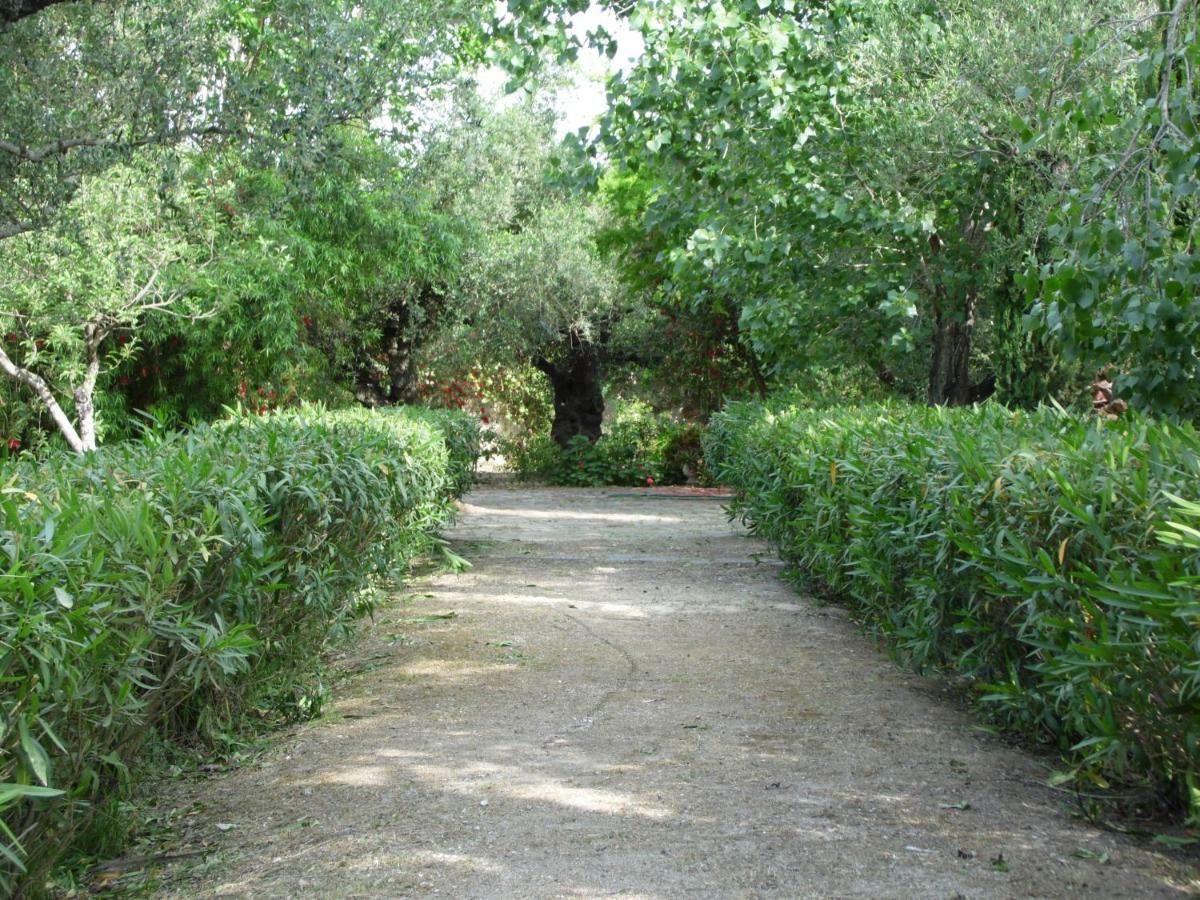 Theni Olive Grove Villa Kato Yerakarion Esterno foto
