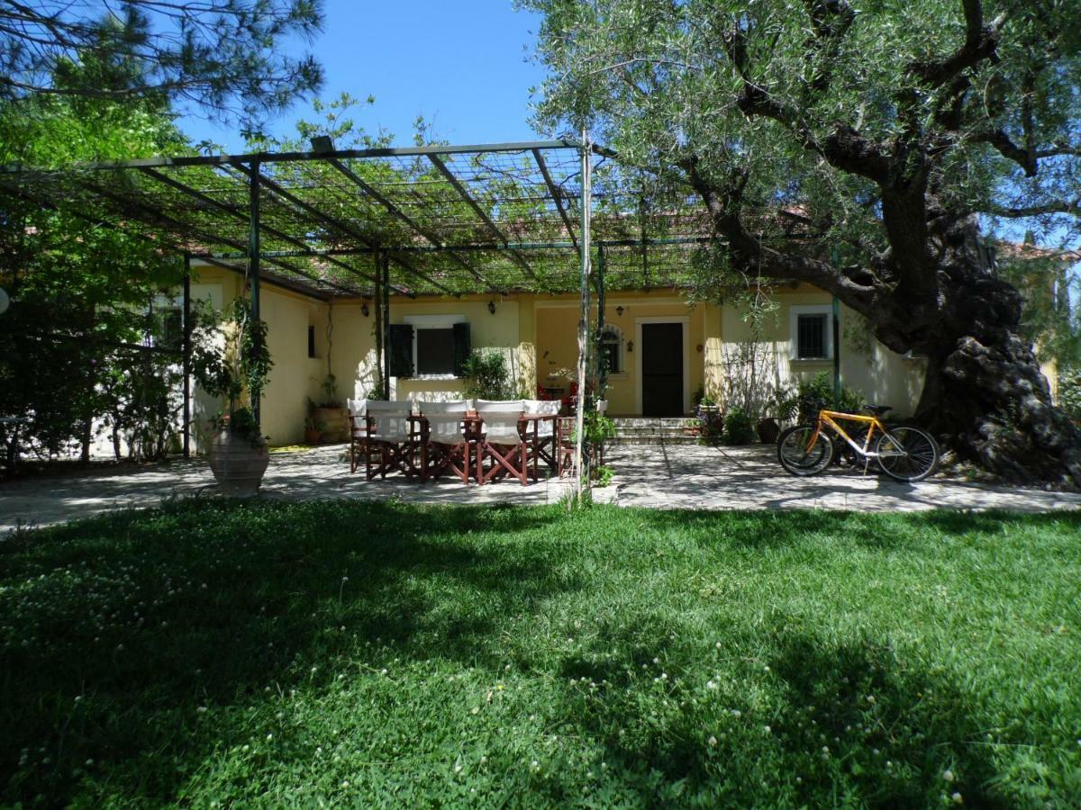 Theni Olive Grove Villa Kato Yerakarion Esterno foto