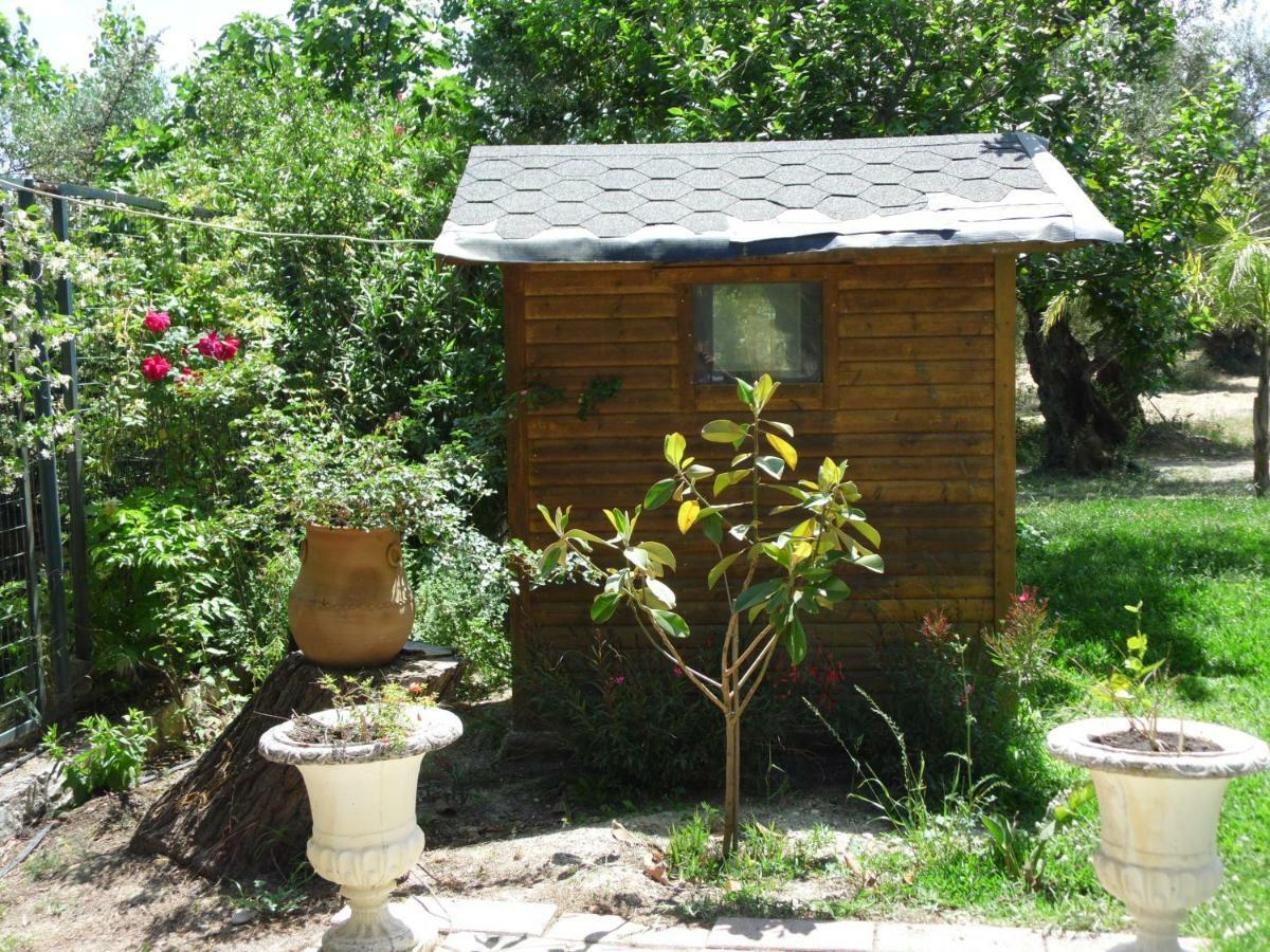 Theni Olive Grove Villa Kato Yerakarion Esterno foto