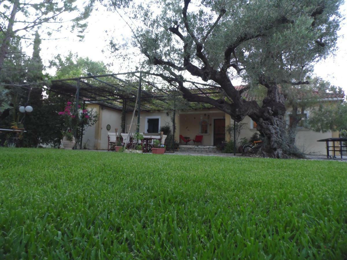 Theni Olive Grove Villa Kato Yerakarion Esterno foto